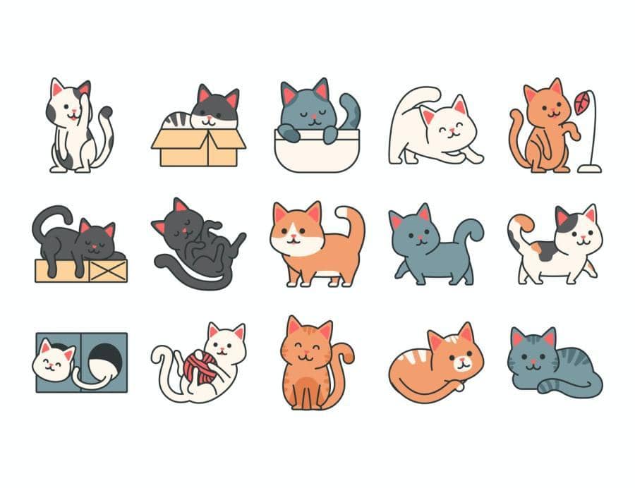 宠物后颈黑点是什么原因：揭秘宠物健康小秘密